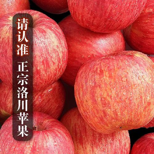 洛川苹果陕西延安红富士时令水果苹果礼盒送礼生鲜新鲜脆甜 产地直发